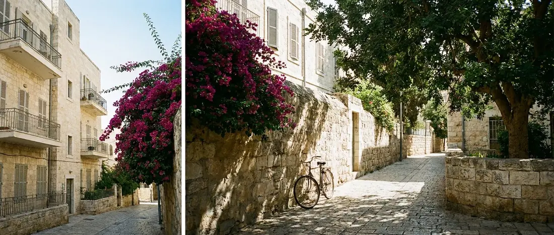 Illustration: a quiet residential street in Jerusalem in the morning, pale stone buildings and a bougainvillea